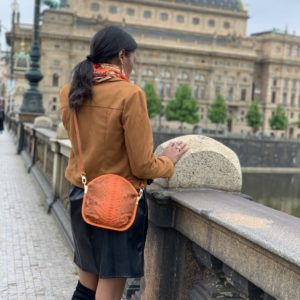 Sarah Li Envie Clutch Bag